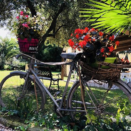 Villa Berghella Montesilvano Marina Exteriér fotografie